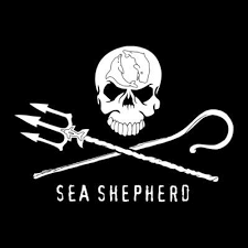 Sea Shepherd // samedi 19 août