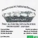 Bannapains